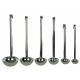 LADLES