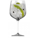 PREMIUM GIN COCKTAIL 76cl