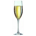 CHAMPAGNE FLUTES